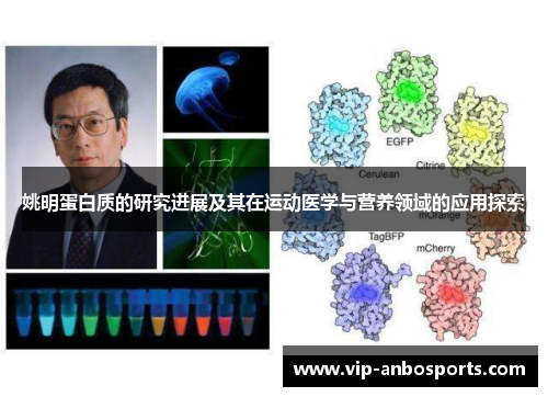 姚明蛋白质的研究进展及其在运动医学与营养领域的应用探索