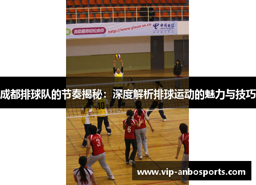 成都排球队的节奏揭秘：深度解析排球运动的魅力与技巧